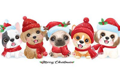 توله سگهای ناز برای کریسمس - Cute doodle puppy for christmas