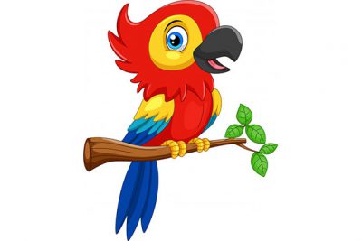 کاراکتر کارتونی طوطی قرمز خنده دار - Funny red parrot cartoon