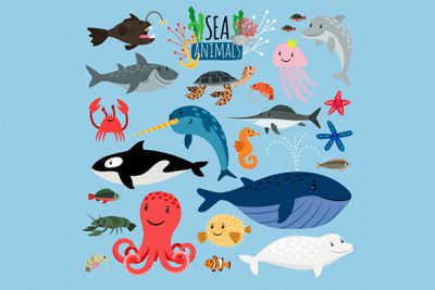 مجموعه حیوانات دریایی - Sea animals