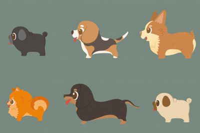 مجموعه سگ های اصیل بامزه – Set of funny purebred dogs