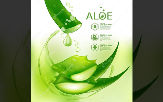 لوازم آرایشی مراقبت از پوست آلوئه ورا - Aloe vera realistic plant skincare cosmetic