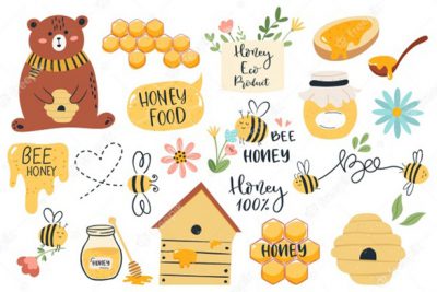 وکتور کارتونی عسل و زنبور - Various honey illustrations