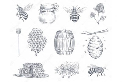 کاراکتر زنبور عسل و المان های عسل - Bee engraving