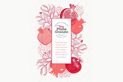 پوستر تبریک یلدا - Pomegranate fruit template